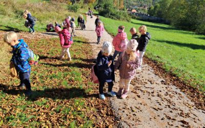 🍂🍁Die Kastanien sind reif🍂🍁